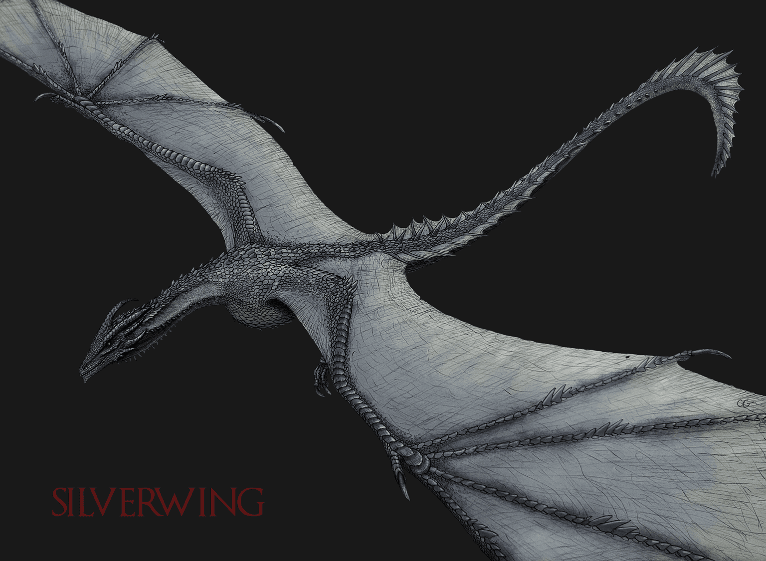 Silverwing 5