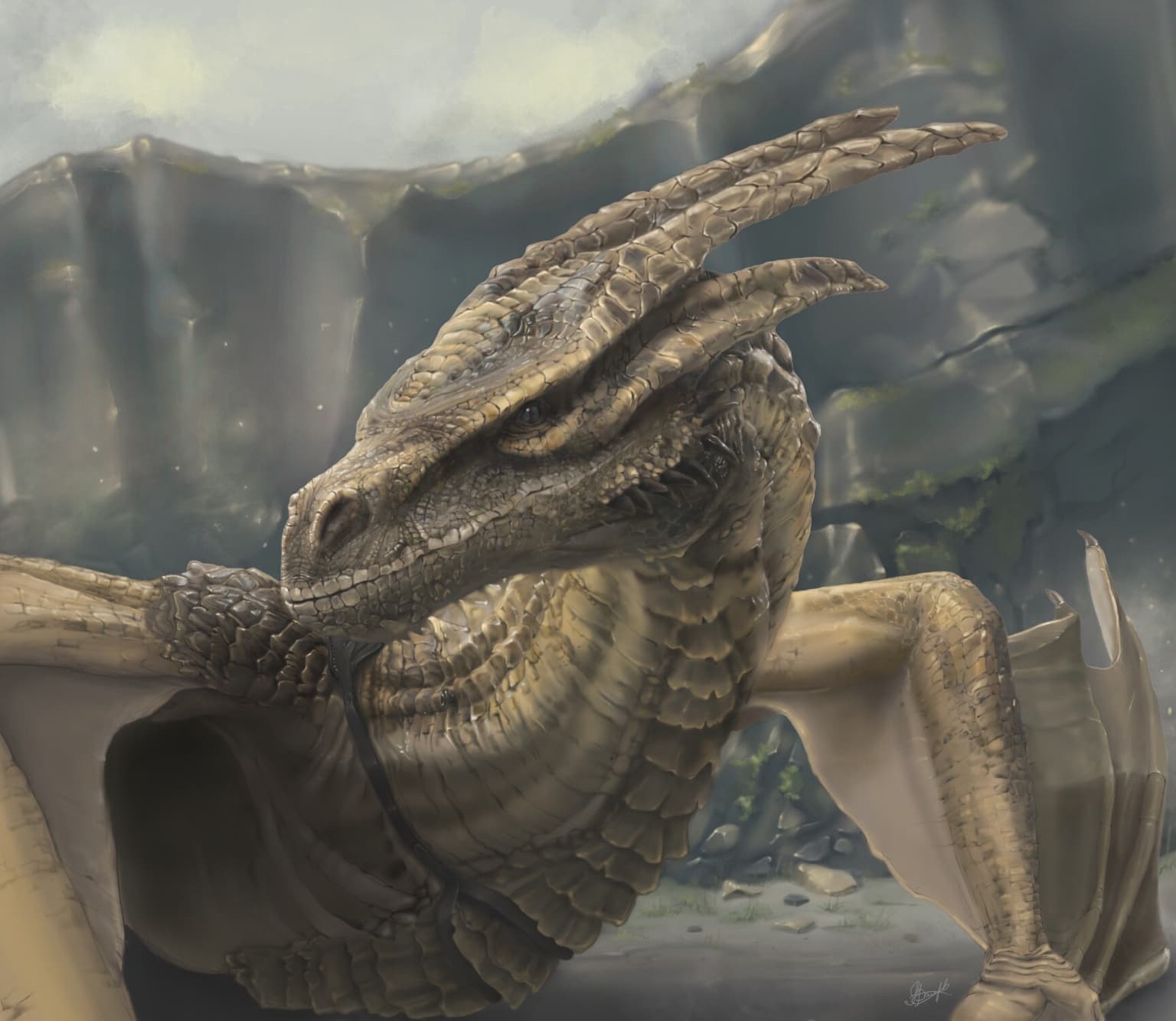 Syrax 4